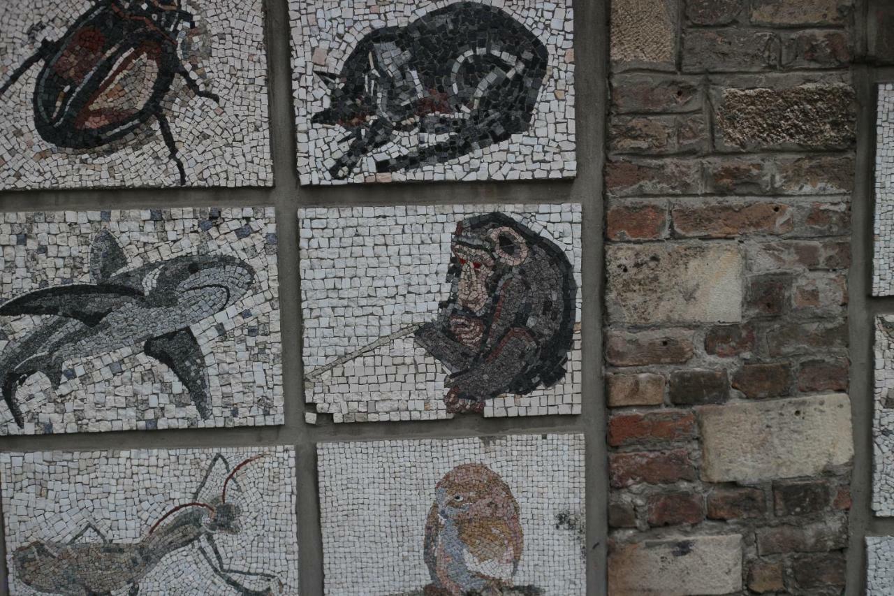Atelier 22 Belgrade